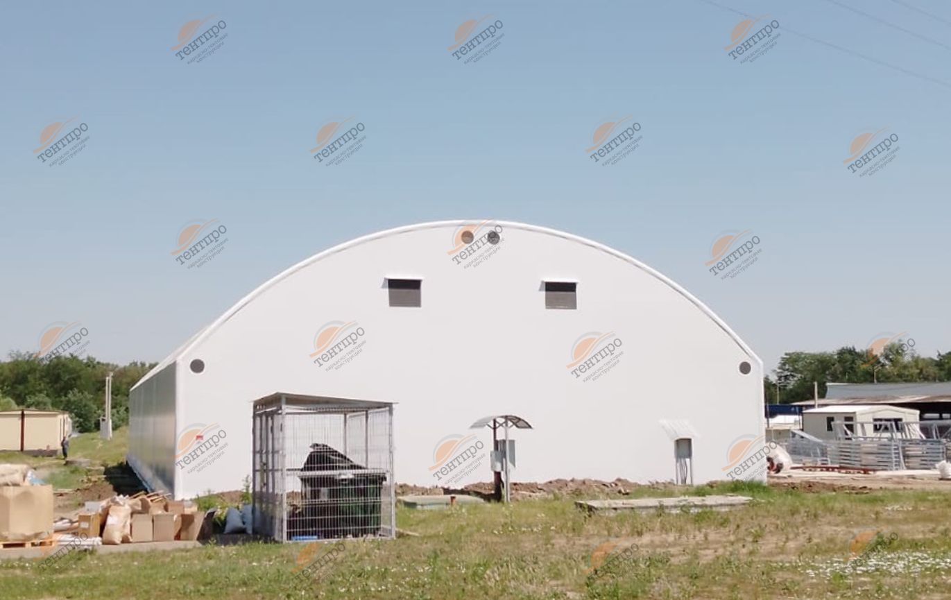 В17х47 Кропоткин в Москве 3